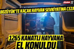 1265 Kanatlı Hayvana El Konuldu