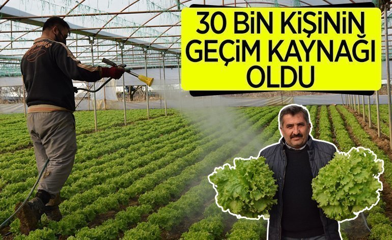 119485.png