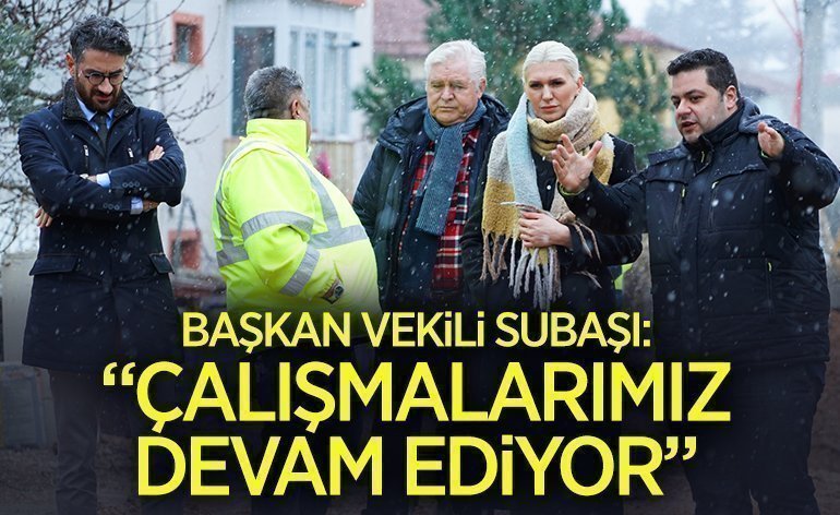 120249.png