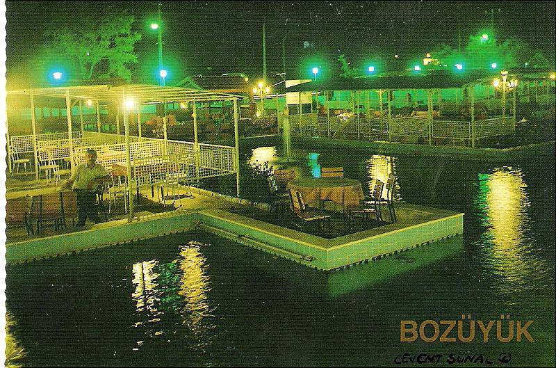1987 Flamingo Parkı