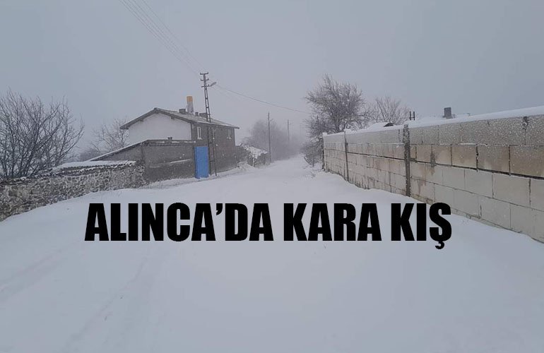 Başlıksız-1