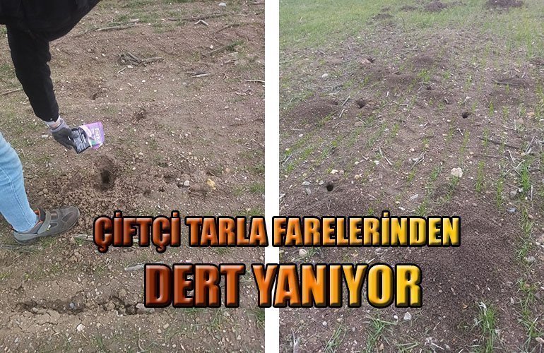 Başlıksız-1