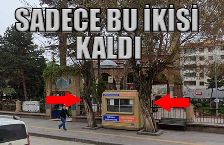 bozuyuk-haber_sadece-iki-tane-kaldi-0.jpg