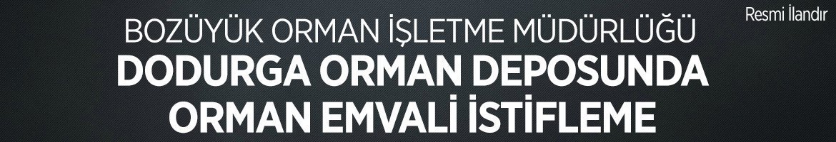 DODURGA ORMAN DEPOSUNDA ORMAN EMVALİ İSTİFLEME