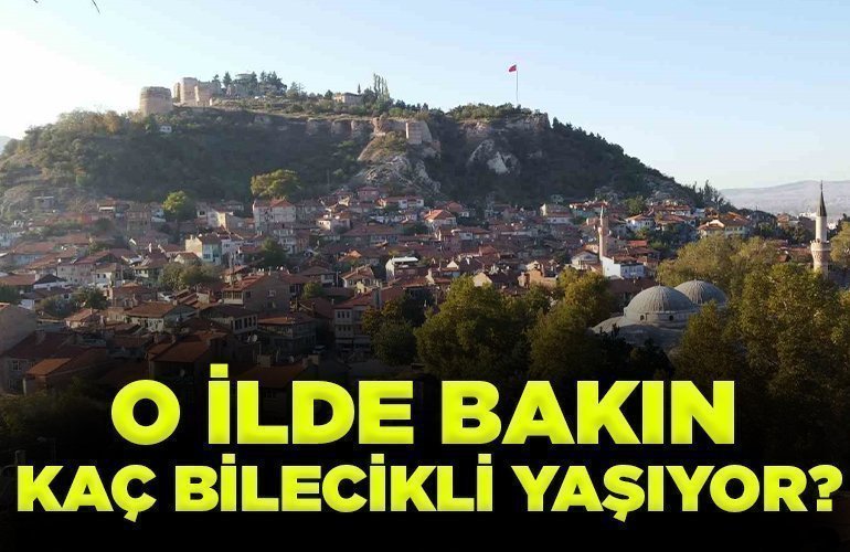 O İLDE BAKIN KAÇ BİLECİKLİ YAŞIYOR