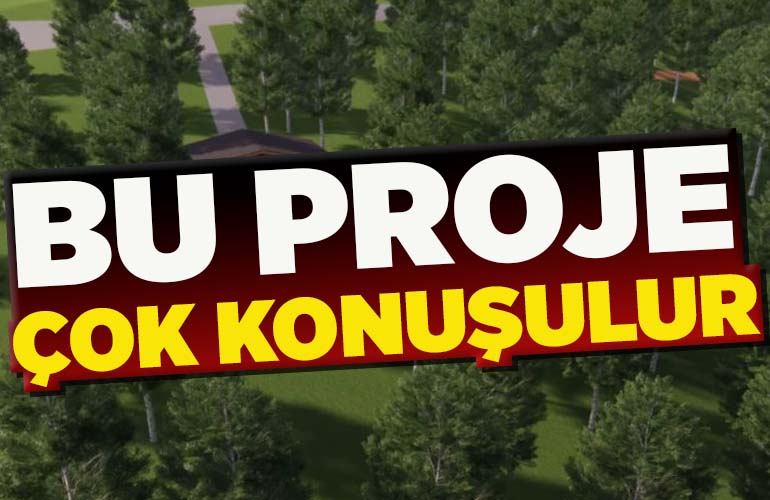 PROJE