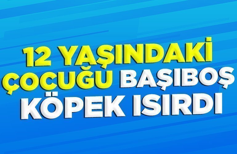 12 yaşındaki çocuğu başıboş köpek ısırdı