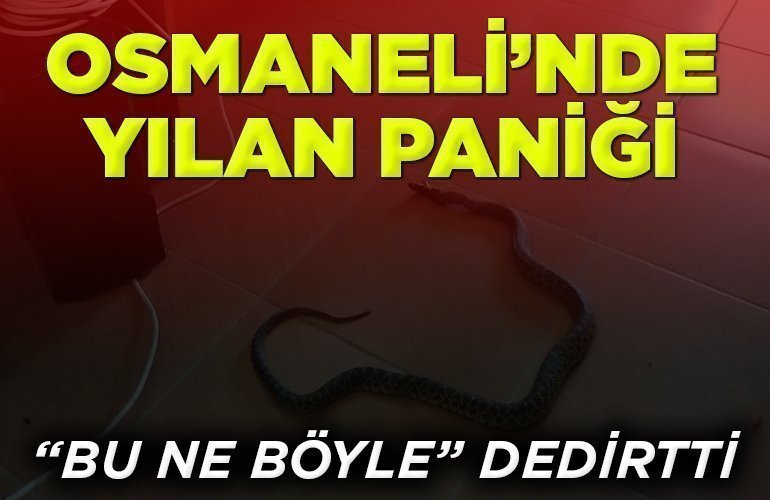 “Bu ne böyle” dedirtti