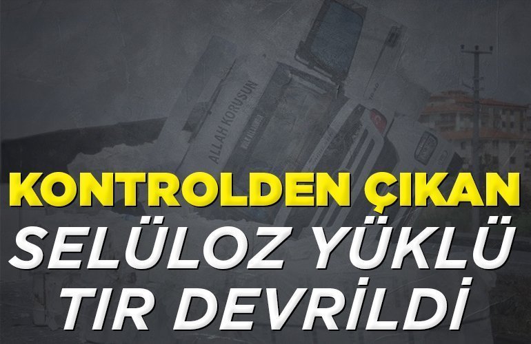 Kontrolden çıkan selüloz yüklü tır devrildi
