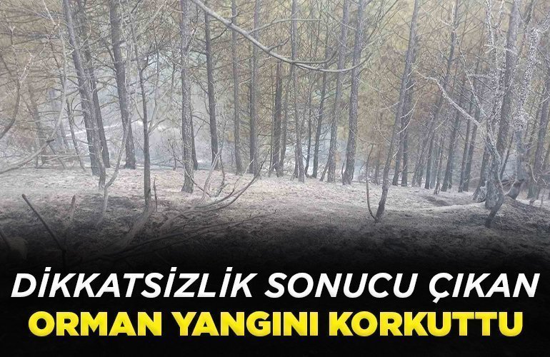 dikkatsizlik sonucu çıkan orman yangını korkuttu