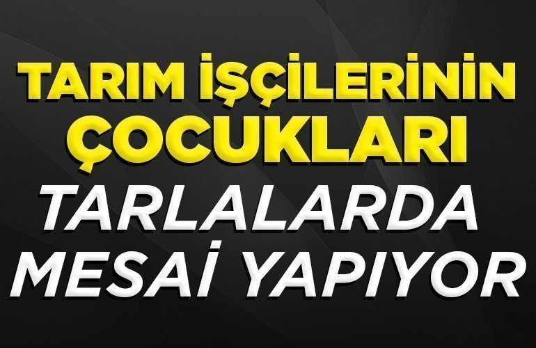 tarım işçilerinin çocukları tarlalarda mesai yapıyor