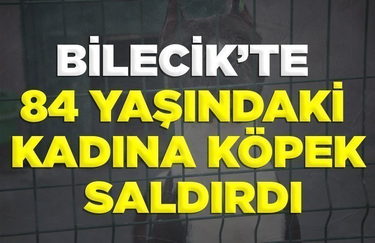 KÖPEK SALDIRDI