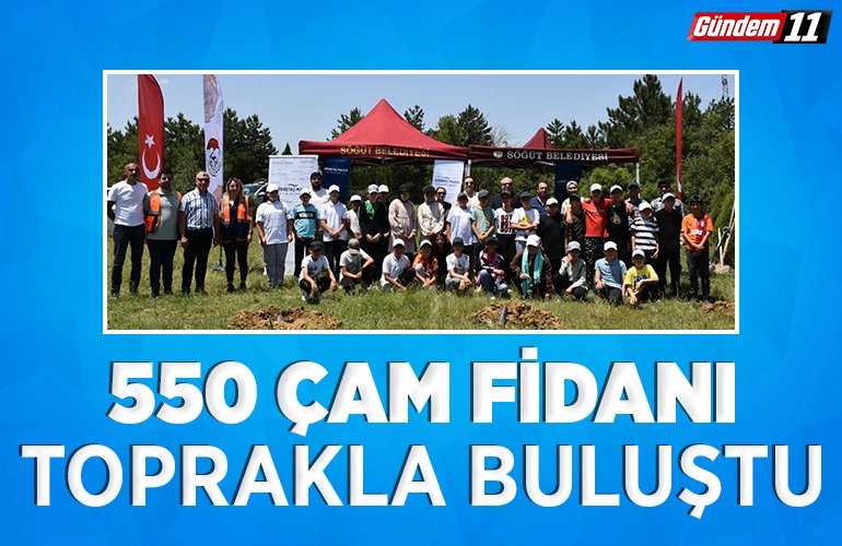550 ÇAM FİDANI TOPRAKLA BULUŞTU