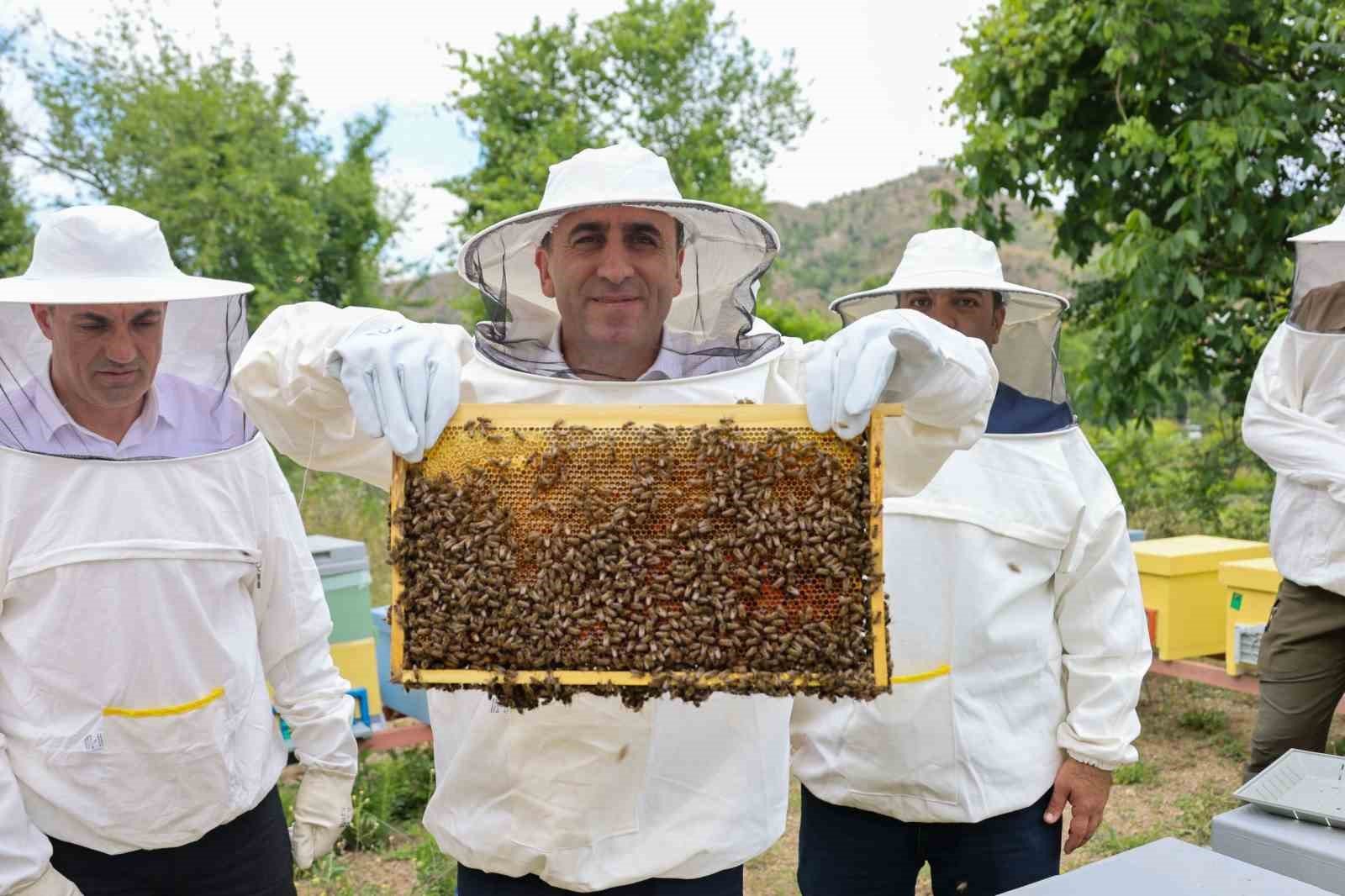 bozuyuk-haber-164712-bilecik-te-varroa-ile-topyek-n-mucadele-0.jpg