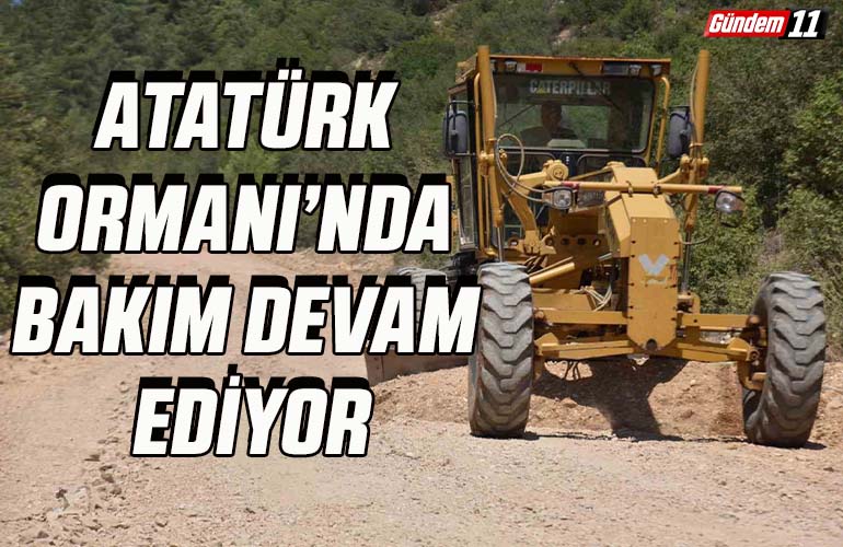 Atatürk Ormanı’nda bakım devam ediyor