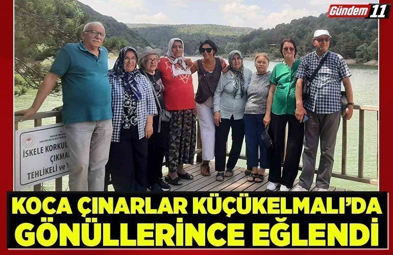 koca çınarlar