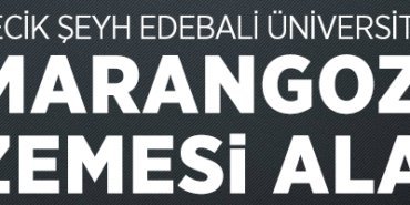 BİLECİK ŞEYH EDEBALİ ÜNİVERSİTESİ MARANGOZ MALZEMESİ ALACAK