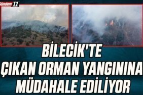 Bilecik'te çıkan orman yangınına müdahale ediliyor