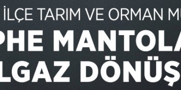 GÖLPAZARI İLÇE TARIM VE ORMAN MÜDÜRLÜĞÜ
