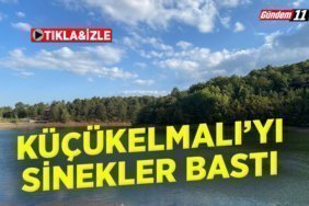 Küçükelmalı’yı sinekler bastı