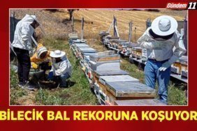 bal rekoru