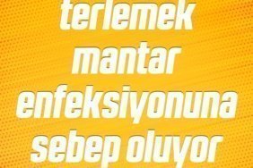mnst_413511-136
