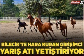 Bilecik'te hara kuran girişimci, yarış atı yetiştiriyor