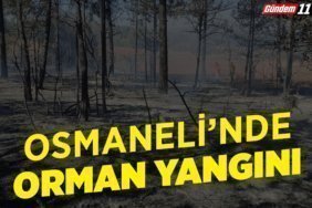 OSMANELİ’NDE ORMAN YANGINI