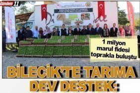 1 milyon marul fidesi toprakla buluştu