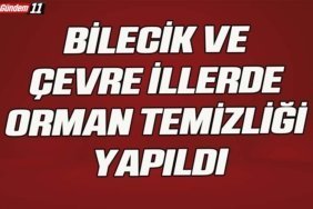 Bilecik ve çevre illerde orman temizliği yapıldı