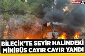 Bilecik'te seyir halindeki minibüs cayır cayır yandı