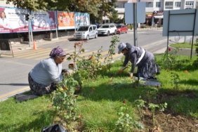 bozuyuk-haber-1102751-orat-refujdeki-gullerin-bakimi-yapildi-0.jpg