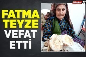 fatma teyze