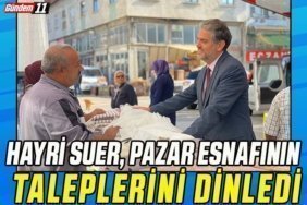 hayri suer