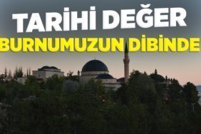 tarihi değer
