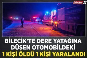 BİLECİK'TE DERE YATAĞINA DÜŞEN OTOMOBİLDEKİ 1 KİŞİ ÖLDÜ, 1 KİŞİ YARALANDI