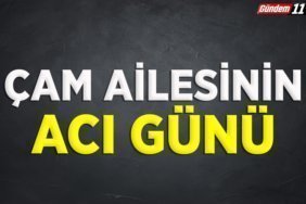 çam ailesi