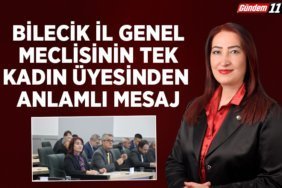 Bilecik İl Genel Meclisinin Tek Kadın Üyesinden Anlamlı Mesaj
