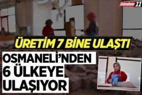 Osmaneli'nden 6 ülkeye ulaşıyor