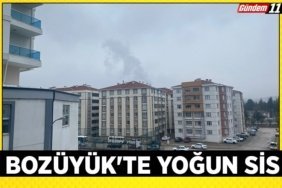 WhatsApp Görsel 2024-12-04 saat 12.16.17_0f131c73