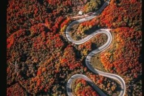 bozuyuk-haber-101101051-kalp-atisi-yolu-0.jpg