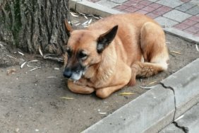 bozuyuk-haber-9110715-artik-kadrolu-gibi-0.jpg
