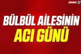 bülbül ailesinina cı günü