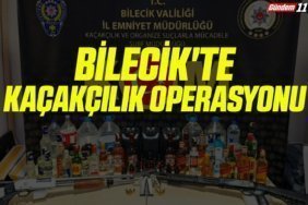 Bilecik'te kaçakçılık operasyonu gerçekleştirildi