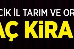 TARIM