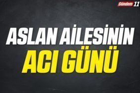 aslan ailesinin