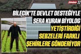 Bilecik'te devlet desteğiyle sera kuran biyolog, yetiştirdiği sebzeleri farklı şehirlere gönderiyor