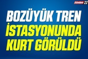 Bozüyük Tren İstasyonunda Kurt Görüldü