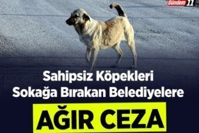 CEZXA
