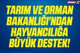 TARIM VE ORMAN BAKANLIĞI'NDAN HAYVANCILIĞA BÜYÜK DESTEK